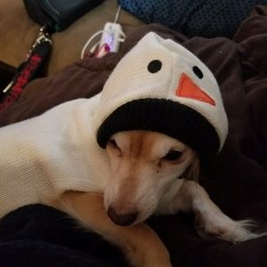 Meet your Posher, Kari